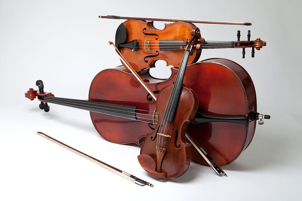 ICONIC BY DAVID GARRETT musical instrument case - BAM Cases